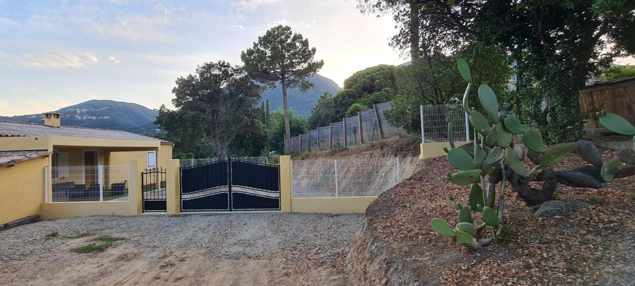 Agreable Rez De Jardin Avec Piscine Et Jacuzzi Lejlighed Cervione Eksteriør billede